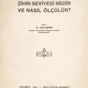 ZİHİN SEVİYESİ NEDİR? VE NASIL ÖLÇÜLÜR?