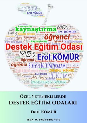 Özel Yeteneklilerde Destek Eğitim Odası